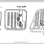 1996 Nissan Maxima Wiring Diagram Letterlazt